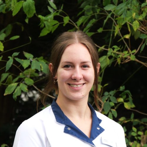 Helena, preventieassistente