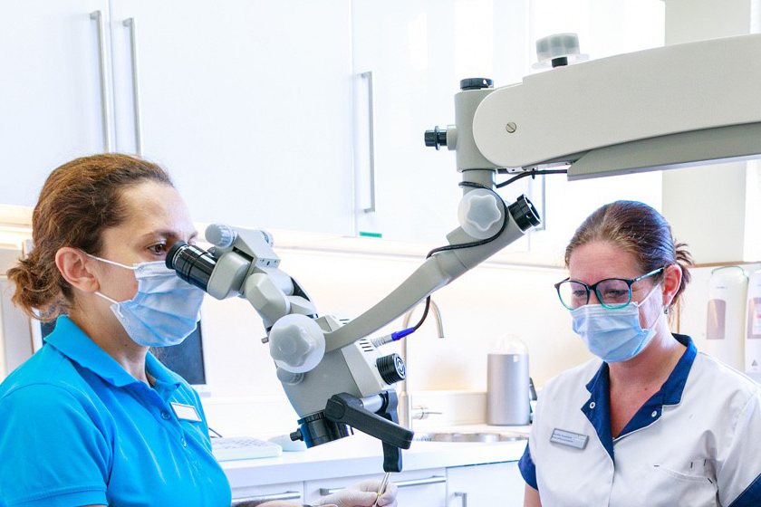 Tandarts werkt met de behandelmicroscoop